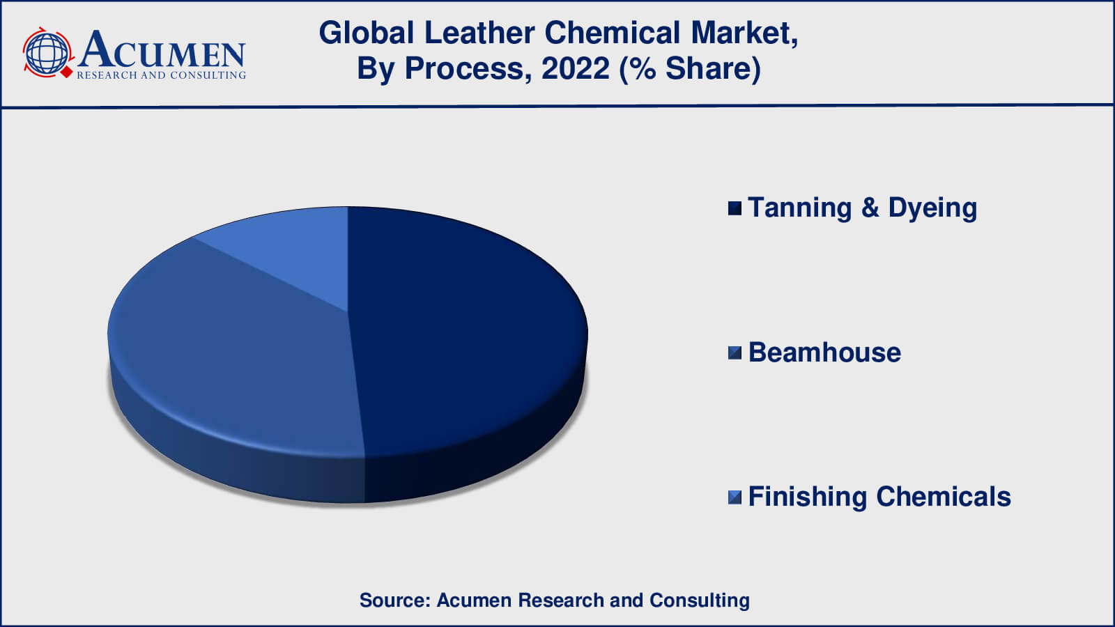 Leather Chemical Market Size Leather Chemical Market Share