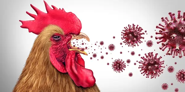 Bird Flu Outbreak Sparks: Global Concerns for Poultry Trade