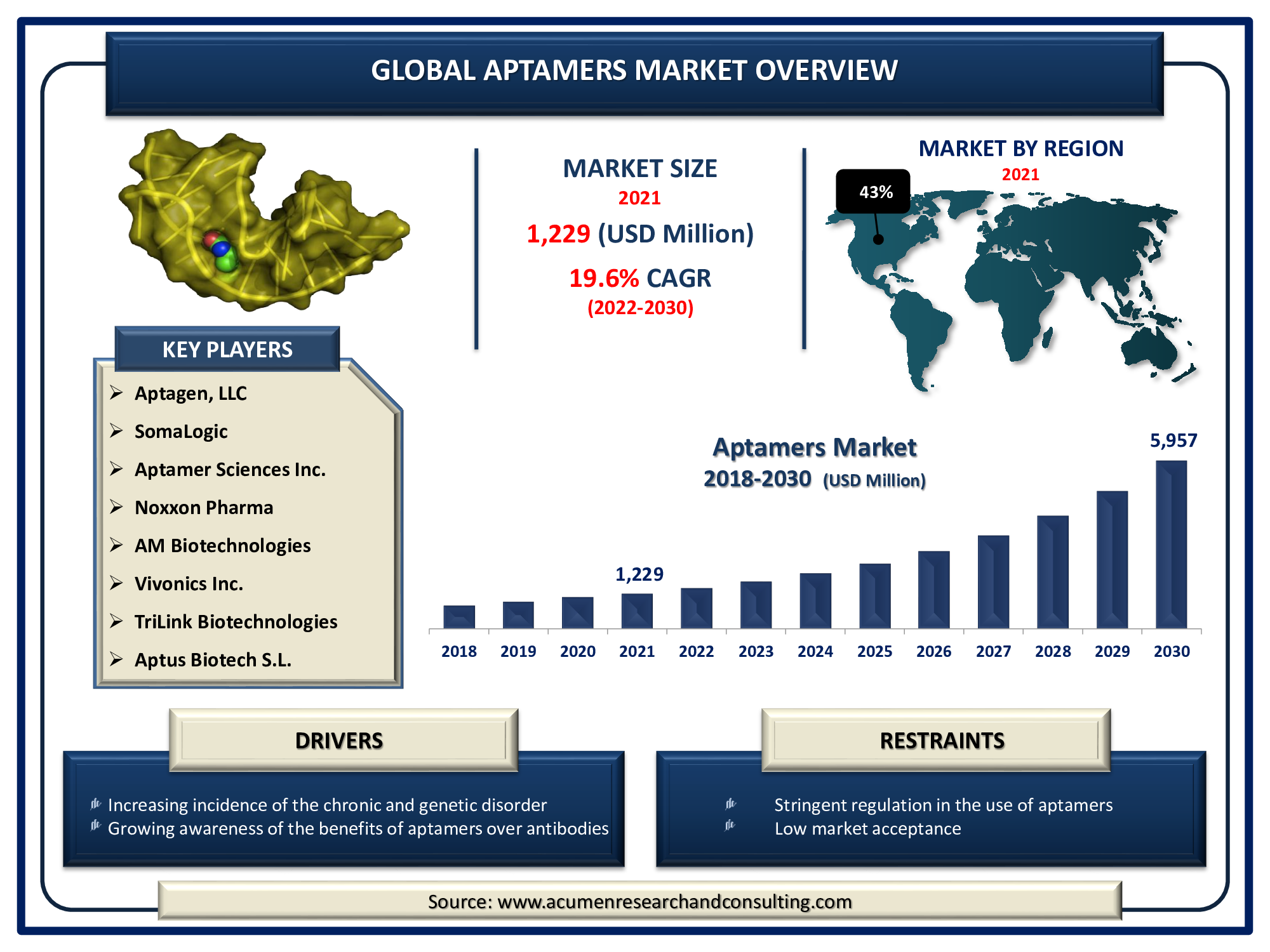 Aptamers Market size 2022-2030 Aptamers Market size accounted for USD 1,229 Million in 2021 and is expected to reach the value of USD 5,957 Million by 2030 at a CAGR of 19.6% during the forecast period from 2022 to 2030.