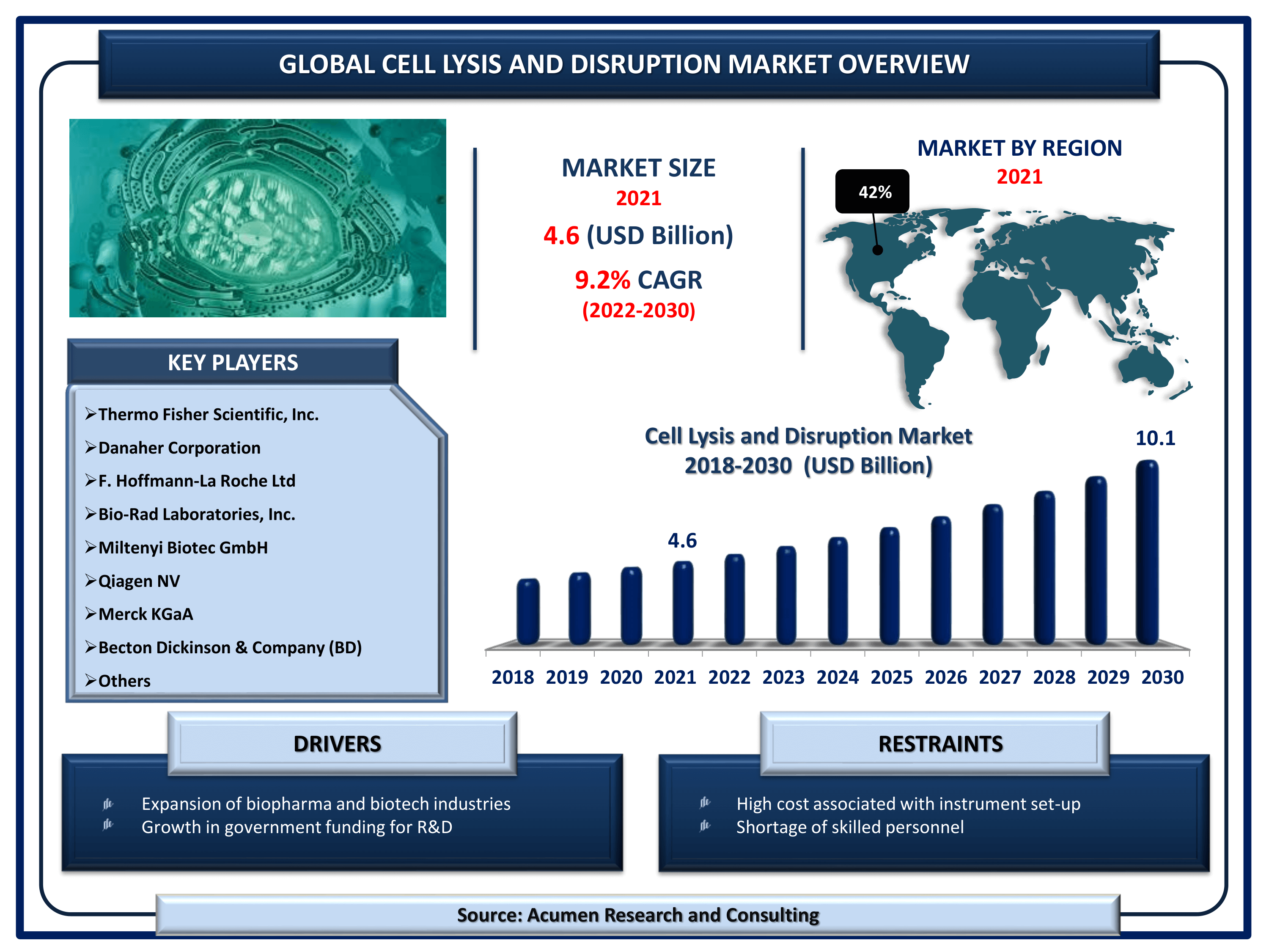 Cell Lysis and Disruption Market Size By ARC Global cell lysis and disruption market revenue is estimated to reach USD 10.1 Billion by 2030 with a CAGR of 9.2% from 2022 to 2030