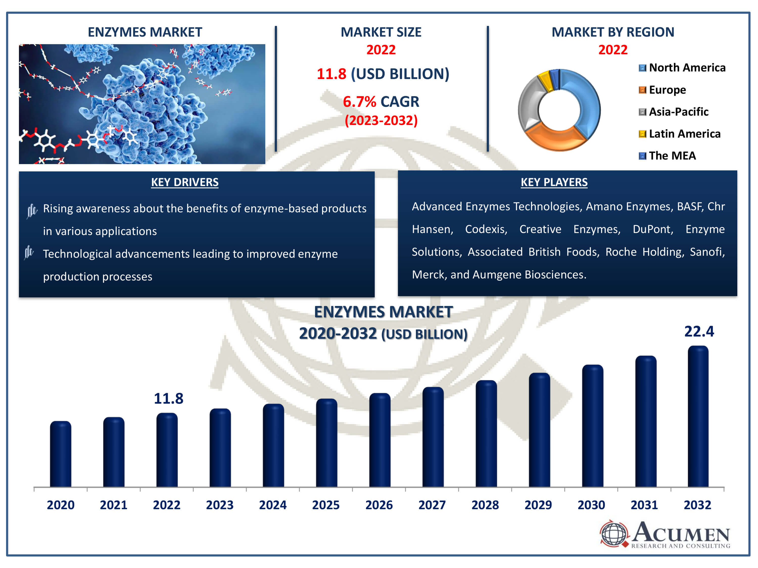 Enzymes Market Size Enzymes Market Dynamics