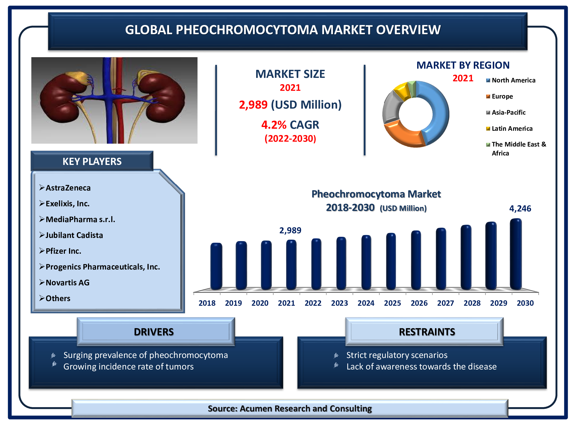 Pheochromocytoma Market 2022 - 2030 Pheochromocytoma Market will achieve a market size of USD 4,246 Million by 2030, budding at a CAGR of 4.2%